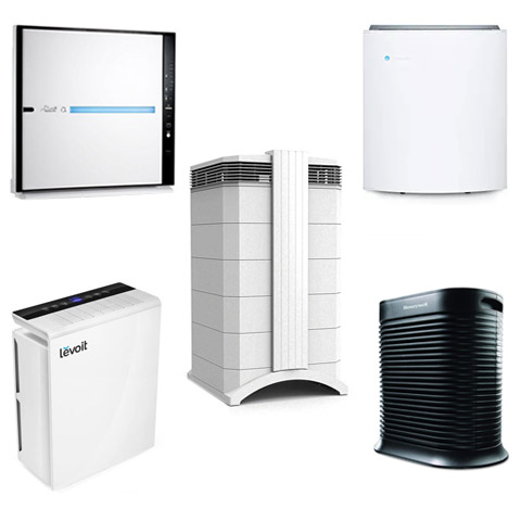Best air purifiers for asthma
