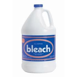 Bleach Solution for Mold