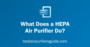 what does a HEPA air purifier do