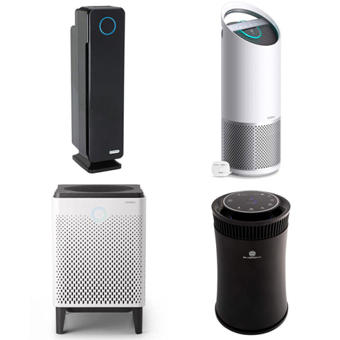 Best air purifiers for living rooms