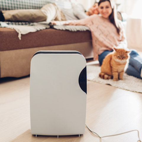 Top Air Purifiers Specific Purpose