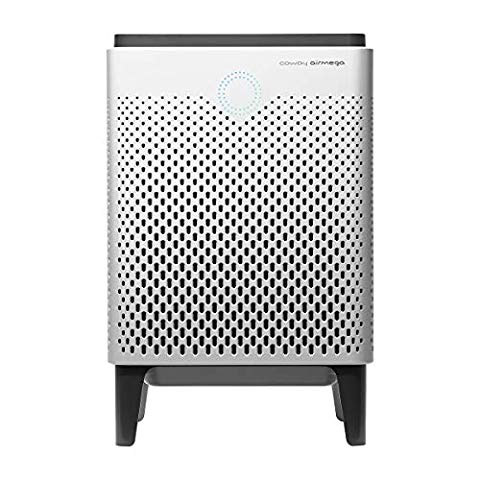 best air purifier for large spaces